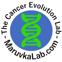 The Cancer Evolution Lab- Technion logo - Similar company to Bpl Biologics (Biopharm Labs Ltd.)