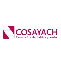 Cosayach logo - Similar company to Sociedad Punta De Lobos S.A.