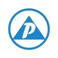 Pyramid Digital Management logo - Similar company to Flying V Solutions