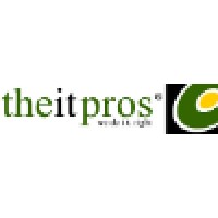 The I.T. Pros