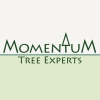 Momentum Tree Experts logo - Similar company to Quality Sprayers, Inc.