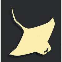 Ricochet logo - Similar company to Ridey