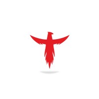 Tog & Trim logo - Similar company to Design Desk