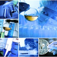 BTS Bioanalyses en Laboratoire de Contrôle du Lycée Jacques Monod à Lescar logo - Similar company to Istara Fm