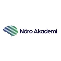 Nöro Akademi logo - Similar company to Deeper Strategy