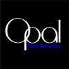 Opal Tech Services logo - Similar company to Second Mountain.