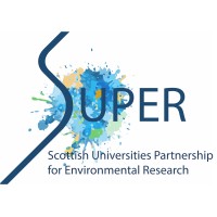SUPER DTP logo - Similar company to Super Dtp