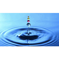 North Shore Counseling Solutions logo - Similar company to North Shore Physicians Group