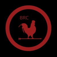 Black Rock Controls logo - Similar company to Statco-Dsi Process Systems
