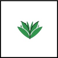 SylvoY logo - Similar company to Altern'Up  Alumni