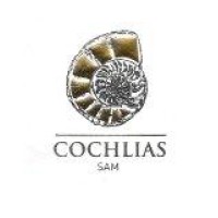Cochlias SAM logo - Similar company to 209 Mare