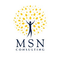 MSN Consulting