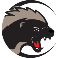 Honey Badger Advisors LLC logo - Similar company to Radius Partners