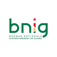 Banque Nationale d'Investissement de Guinée (BNIG) logo - Similar company to Engik Guinée