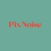PixNoise logo - Similar company to Deli Techno