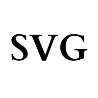 SVG Partners logo - Similar company to Micro Vision Consulting