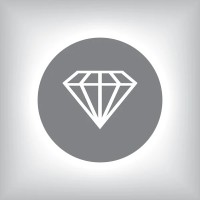 Solid State Ventures logo - Similar company to Discoverit Solutions