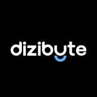 DiziByte logo - Similar company to Satochi