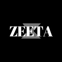 Zeeta - Artigos Esportivos logo - Similar company to Zeeta Electricals