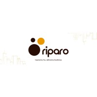 RIPARO Nig. Ltd. logo - Similar company to The Global Hustlr