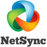 Netsync Technologies Pvt Ltd - India logo - Similar company to Netsync