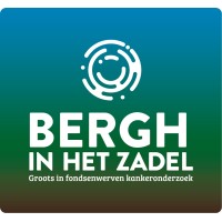 Bergh in het Zadel logo - Similar company to Logistics Overijssel