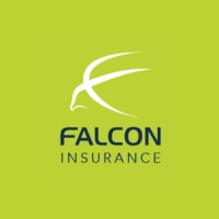 Falcon Insurance logo - Similar company to Bonham & Brook
