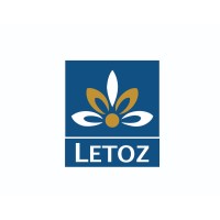 Letoz logo - Similar company to Nofacecreators