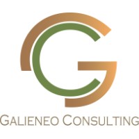 GALIENEO CONSULTING logo - Similar company to Oo Conseil