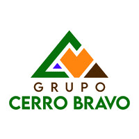 GRUPO CERRO BRAVO logo - Similar company to Shumer Trans