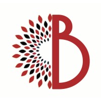 Ballistic Media Group