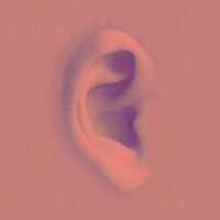 Amniótica logo - Similar company to Luana Experience