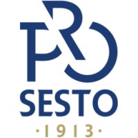 Pro Sesto 1913 logo - Similar company to Shapeme