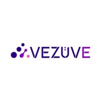 Vezüve E-İhracat logo - Similar company to Owain Digital