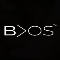 BVOS - Best Version of Self logo - Similar company to Vivit Holding Ag