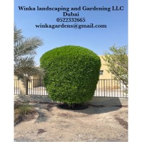 Winka landscaping and gardening LLC logo - Similar company to Dynamic Landscaping For Landscape & Gardening Works & Maintenance Llc