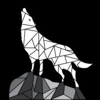The Liekos Group logo - Similar company to Drillsage™
