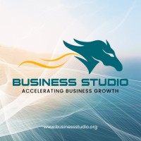 Business Studio logo - Similar company to Web India Solutions