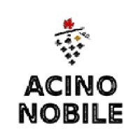 AcinoNobile | Wine StoryTeller 🍷🍷 logo - Similar company to Rocking Motion