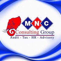 MNC Consulting Group Limited logo - Similar company to Turelabs Developers Limited