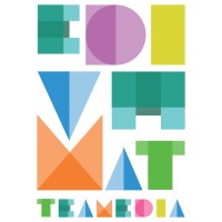 Teamedia logo - Similar company to Teamedia