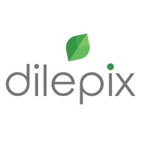 Dilepix logo - Similar company to Aisprid