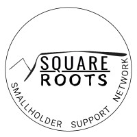 SQUAREROOTS logo - Similar company to Squareroots