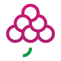 GrapesTech Solutions Pvt. Ltd. logo - Similar company to Whiz Solutions Ltd - Uk