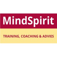 MindSpirit logo - Similar company to Mindsprint Technologies Private Limited