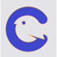 CONNECT INFOSYSTEMS logo - Similar company to Skill First Labs