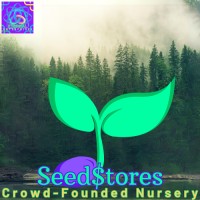 Seed$Tores