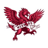 mesmero logo - Similar company to Tribe Media Lab