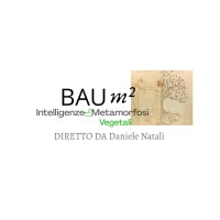 Baum2
