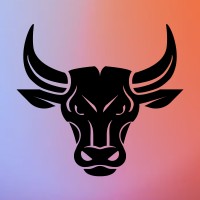 BullTheme - Shopify, Shopify Plus, Website Design Agency logo - Similar company to Blast Commerce | Shopify Agency